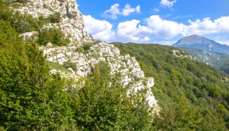 Cosa vedere nel Parco Nazionale del Pollino | Turismo Viaggi Italia