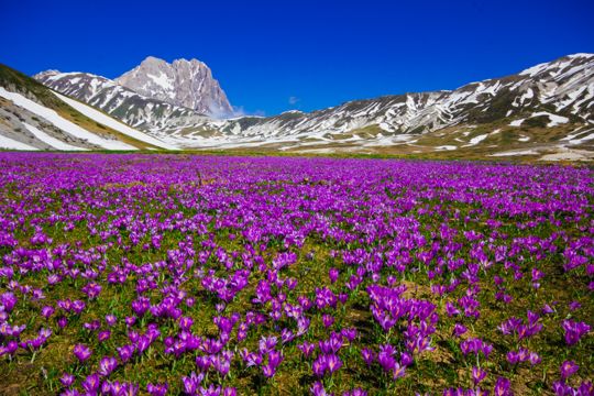 Parco Nazionale Gran Sasso e Monti della Laga (Corno Grande e Campo Imperatore) | Turismo Viaggi Italia