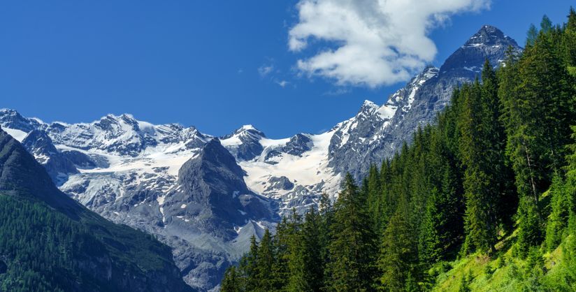 Scorpi i Parchi Nazionali della Lombardia | Turismo Viaggi Italia