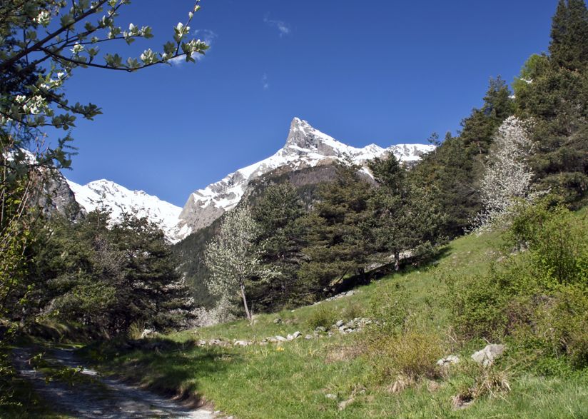 Il Parco Naturale Monte Avic in valle d'Aosta | Turismo Viaggi Italia
