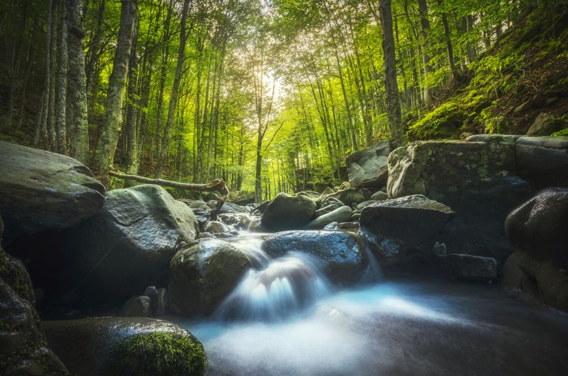 Parco Nazionale dell'Appennino Tosco-Emiliano | Turismo Viaggi Italia