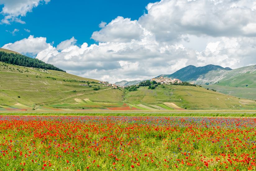 Parco Nazionale dei Monti Sibillini - Castelluccio e il Piano Grande | Turismo Viaggi Italia