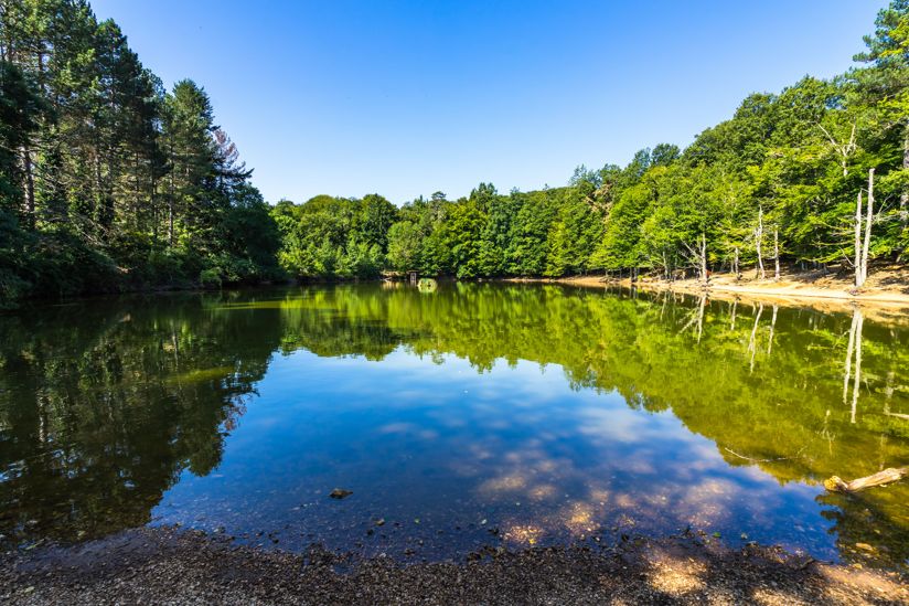 Parco Nazionale del Gargano | Turismo Viaggi Italia