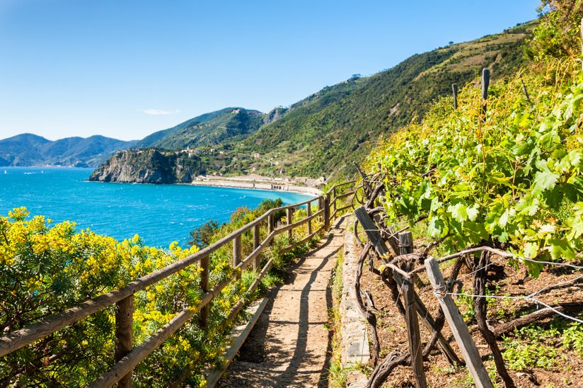 Il Parco Nazionale delle Cinque Terre in Liguria | Turismo Viaggi Italia