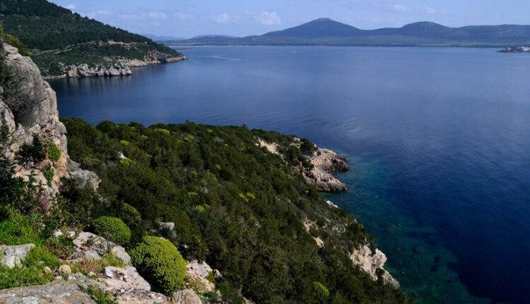Parco Naturale Regionale di Porto Conte in Sardegna | Turismo Viaggi Italia