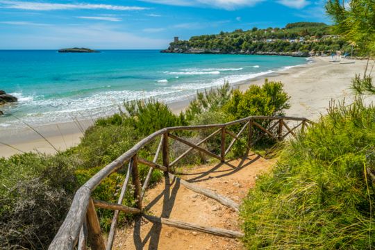 Cosa vedere e come visitare il Cilento | Turismo Viaggi Italia