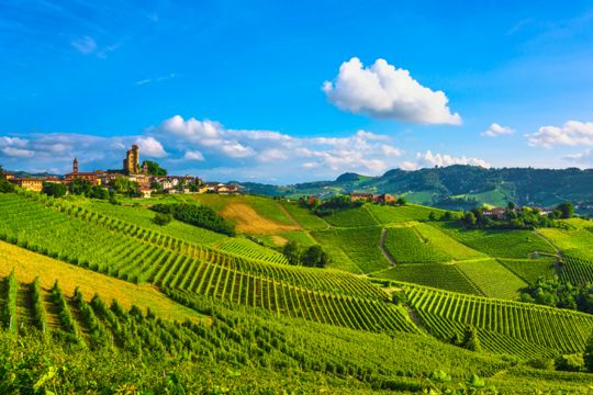 Strade del Vino e dei Sapori del Piemonte | Turismo Viaggi Italia