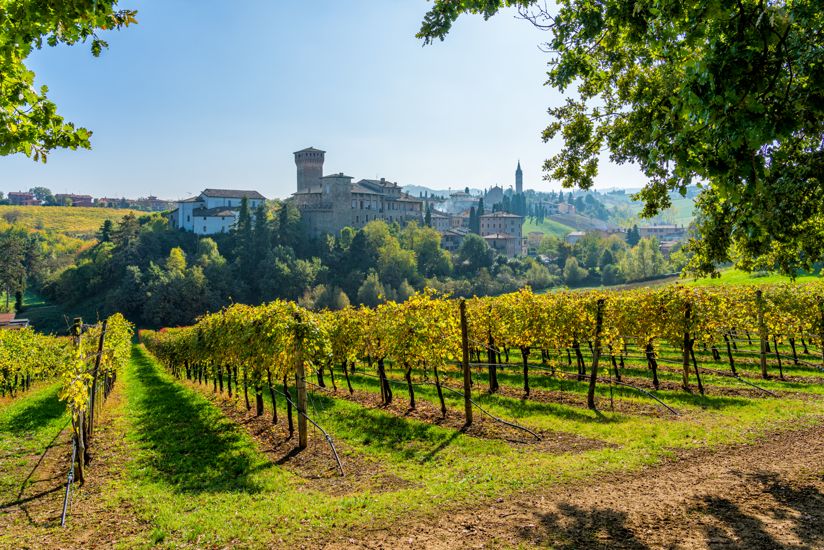 Strade del Vino e dei Sapori in Emilia-Romagna | Turismo Viaggi Italia