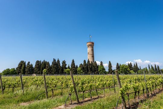 Strada dei Vini e dei Sapori del Garda | Cosa vedere, vini e prodotti tipici