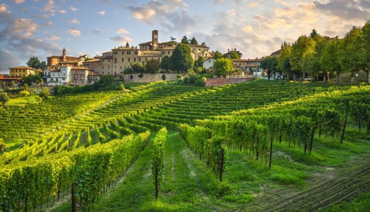 Strada del Barolo e Grandi Vini di Langa | Turismo Viaggi Italia