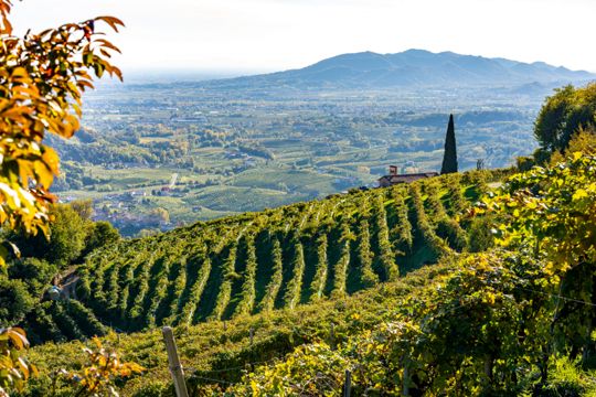 Strada del Prosecco e Vini dei Colli Conegliano Valdobbiadene | Turismo Viaggi Italia, hills and vineyards along the Prosecco road. Italy