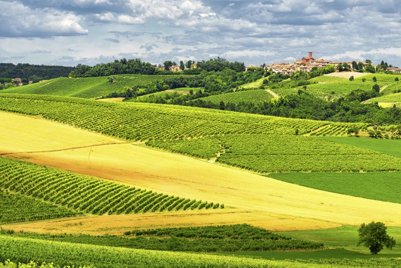 Strada del Vino Alto Monferrato | Cosa vedere, vino e prodotti tipici