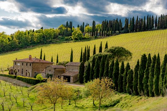 Strada del Vino e dell’Olio Chianti Classico | Turismo Viaggi Italia